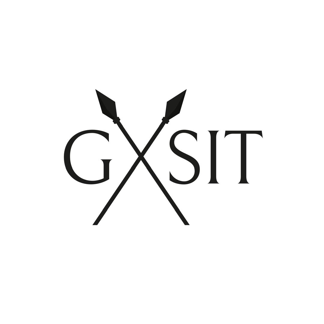 GSIT